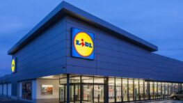 Lidl lance la plus belle robe chemise en jean du printemps à tout petit prix !