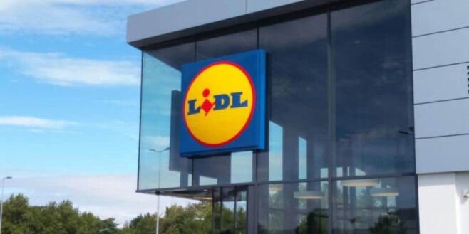 Lidl sort la solution pqrfaite à moins de 8 euros pour avoir de la pelouse sur son balcon !