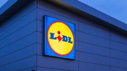 Lidl tient l'accessoire indispensable pour protéger votre chien de la pluie !