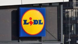 Lidl tient l'outil indispensable à avoir absolument à la maison !