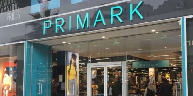 Primark cartonne avec ce dupe d'un sac de luxe Bottega Veneta vendu à 9 euros !