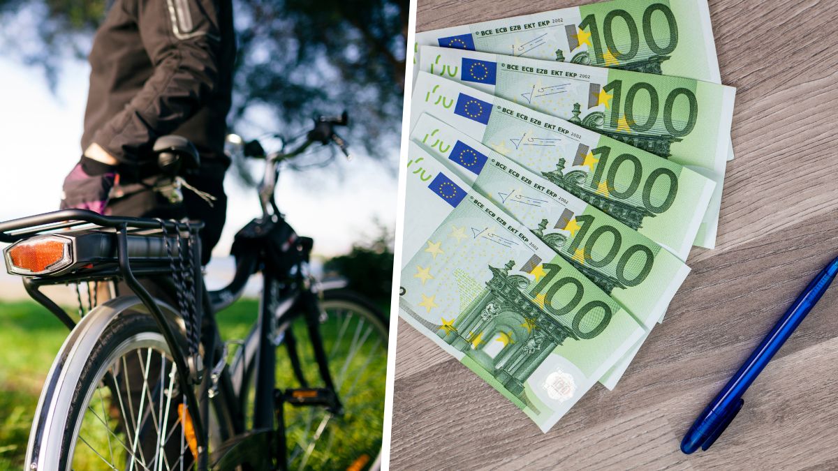 Ecco come sfruttare questi 3 aiuti fino a 3000 euro per acquistare una bici elettrica!  – Tuxboard