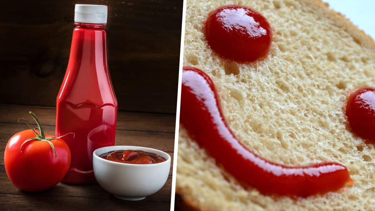 Voici les meilleurs marques de Ketchup pour la santé selon 60 millions de consommateurs !