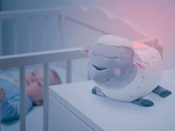 Cohue chez Lidl pour cet objet parfait à moins de 20 euros pour permettre aux enfants de bien dormir la nuit