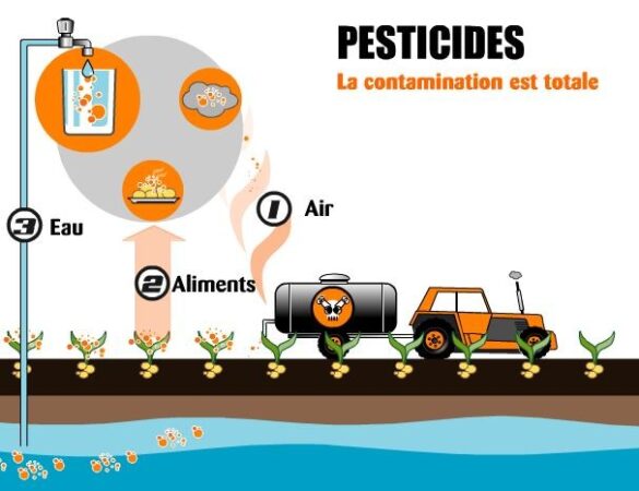 60 millions de consommateurs alerte sur le danger des pesticides dans les bouteilles d'eau !