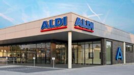 Aldi cartonne avec son banc multifonction à tout petit prix article