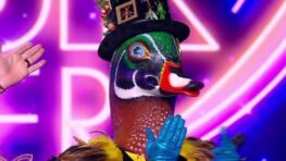 Anne-Elisabeth Lemoine est-elle le canard dans Mask Singer ? Cette gaffe de Bertrand Chameroy !