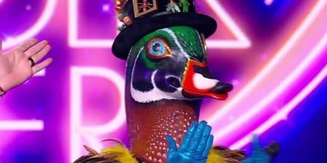 Anne-Elisabeth Lemoine est-elle le canard dans Mask Singer ? Cette gaffe de Bertrand Chameroy !