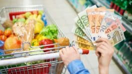 Chèque inflation voici comment toucher cette aide jusqu'à 185 euros et les français concernés !