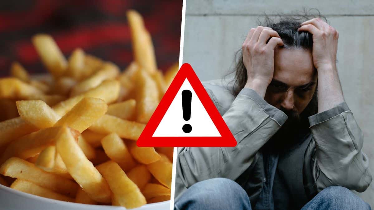 Food attention manger trop de frites rendrait dépressif ! Tuxboard