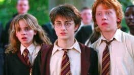 Harry Potter bientôt adapté en série après le succès de The Last of Us ? La folle rumeur !