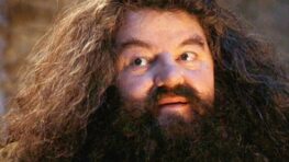Harry Potter: l'hommage déchirant de Tom Felton à l'acteur d'Hagrid va vous faire fondre en larmes !