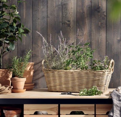 Ikea amène le printemps chez vous avec les plus belles jardinières à petits prix