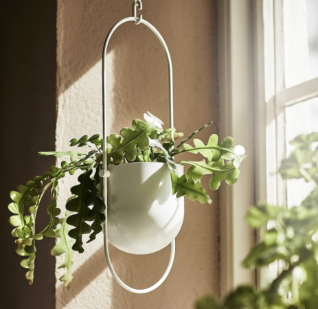 Ikea amène le printemps chez vous avec les plus belles jardinières à petits prix
