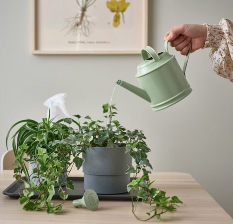 Ikea dévoile le produit parfait pour arroser ses plantes à moins de 7 euros