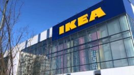 Ikea protège enfin votre intimité avec ce produit très naturel pour votre extérieur !
