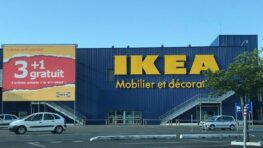 Ikea remplit votre maison de vie et d'oxygène avec cet indispensable du printemps à moins de 20 euros !