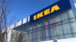 Ikea va embellir votre pique-nique avec cet indispensable qui va faciliter votre vie !