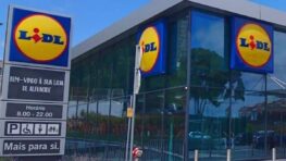 Lidl cartonne avec cet indispensable pour stocker ses affaires sales avant la machine !