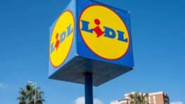 Lidl casse le prix de cet indispensable pour gagner de la place dans sa douche !