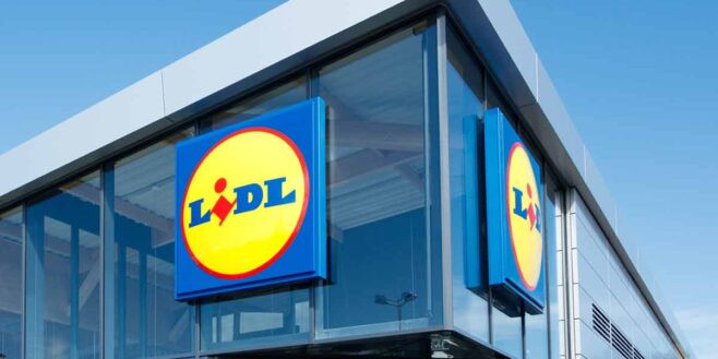 Lidl crée une émeute avec sa nouvelle yaourtière rétro à moins de 20 euros !