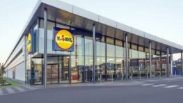 Lidl frappe très fort avec cette double chaise longue pour profiter du soleil en toute sérénité !