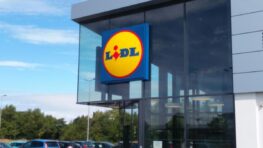 Lidl: incroyable nouvelle, un site internet devrait bientôt voir le jour en France !