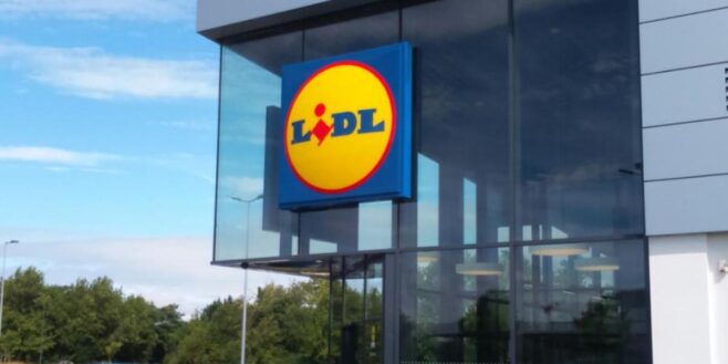 Lidl: incroyable nouvelle, un site internet devrait bientôt voir le jour en France !