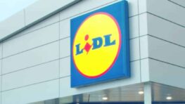 Lidl lance des leggings respirants très stylés en 3 coloris à moins de 10 euros !