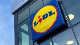 Lidl lance la solution parfaite pour ne plus se faire piquer par les moustiques la nuit !