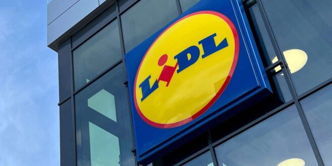 Lidl lance la solution parfaite pour ne plus se faire piquer par les moustiques la nuit !