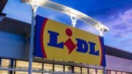 Lidl lance l'indispensable pour éradiquer les moustiques et passer un été en toute sérénité !