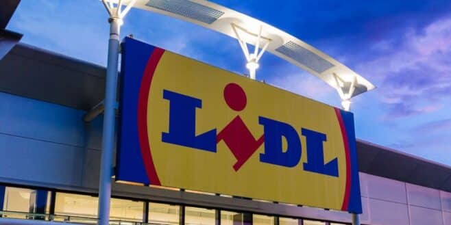 Lidl lance l'indispensable pour éradiquer les moustiques et passer un été en toute sérénité !