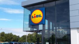 Lidl lance un joli panier qui va vous faciliter la vie à moins de 13 euros !