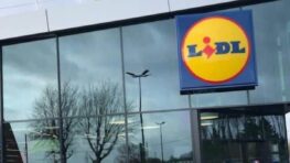 Lidl met de la couleur dans votre cuisine avec ce grille pain rétro à moins de 30 euros !