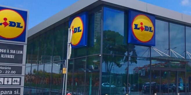 Lidl sort l'indispensable pour emmener votre chien partout où vous allez à prix cassé !