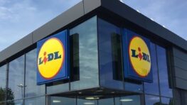 Lidl surprend tout le monde avec la robe d'été confortable et tendance à 15 euros !
