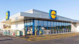 Lidl tient la solution pour ne plus mourir de chaud la nuit avec son protège-matelas thermorégulé !