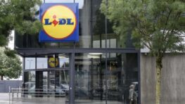 Lidl tient le produit parfait pour tout bien ranger chez vous à moins de 13 euros !
