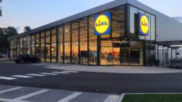 Lidl: un client découvre un message mystérieux sur une myrtille et mène l'enquête !