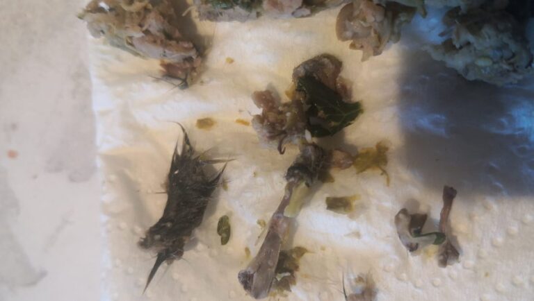 Lidl : une cliente retrouve des os et morceaux de poils dans un steak haché