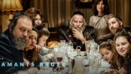 Netflix dérape totalement et traduit le mot homosexuel par attardé dans cette série qui cartonne !