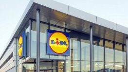 Ruée chez Lidl avec cette plante verte parfaite pour ajouter une touche tropicale à votre salon !