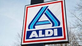 Aldi cartonne avec sa plante magique qui élimine les mauvaises odeurs à moins de 6 euros !
