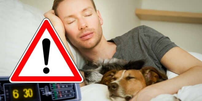 Alerte santé il ne faut plus jamais dormir avec son chien selon ce vétérinaire !