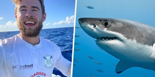 Ce jeune homme attaqué par un requin très énervé filme la scène et la vidéo fait est terrorisante !