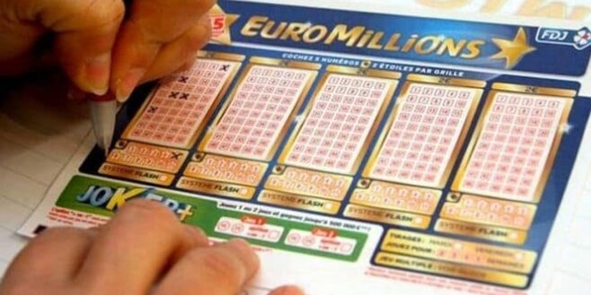 EuroMillions vous rêvez de toucher le jackpot voici les 13 numéros qui sortent le plus !