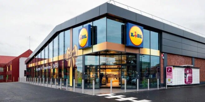 Lidl cartonne et lance le cadeau parfait pour la fête des mères à moins de 2 euros !