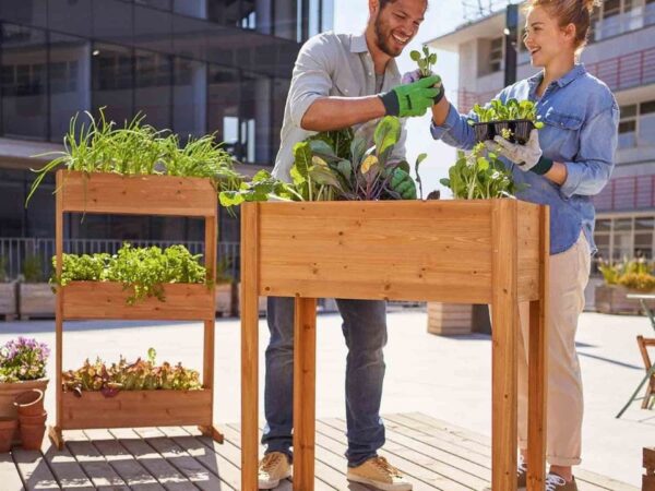Lidl - cette nouvelle jardinière en bois bientôt sold out !