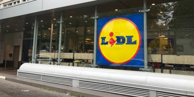 Lidl frappe fort avec le produit parfait pour occuper vos enfants pendant tout l'été !